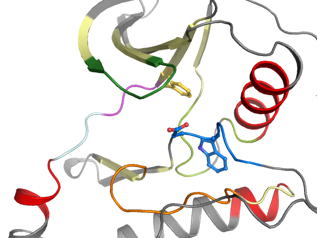The orthosteric binding pocket