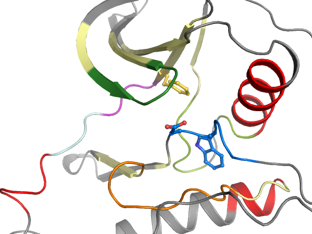 The orthosteric binding pocket