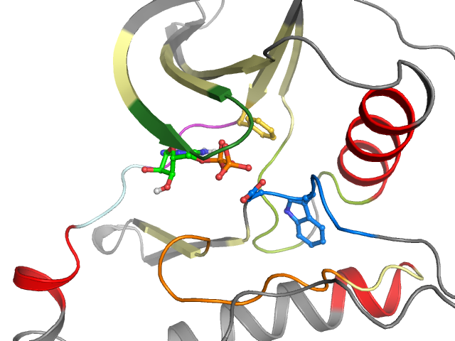 The orthosteric binding pocket