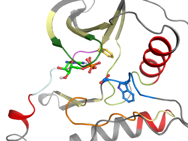 The orthosteric binding pocket