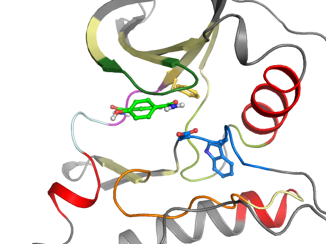 The orthosteric binding pocket