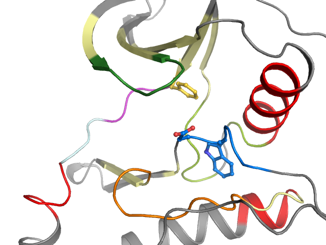 The orthosteric binding pocket