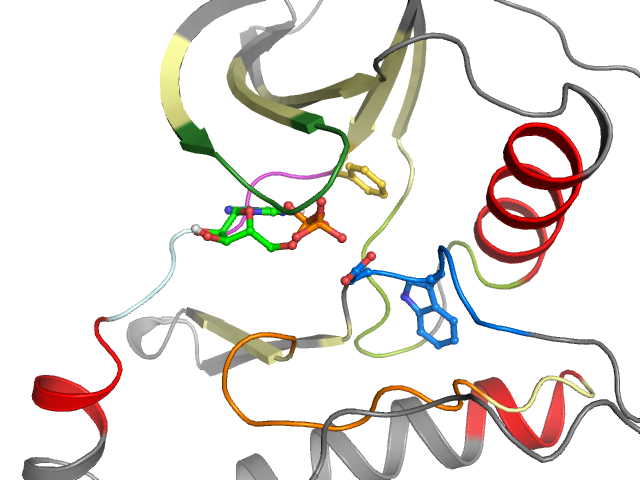 The orthosteric binding pocket