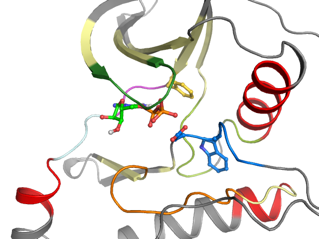 The orthosteric binding pocket