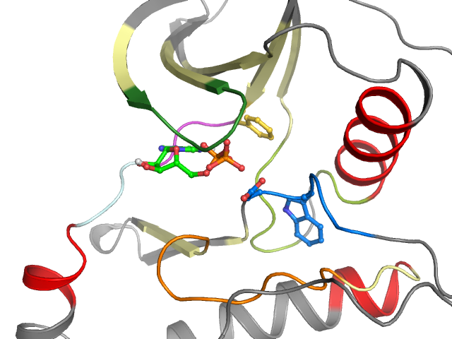 The orthosteric binding pocket