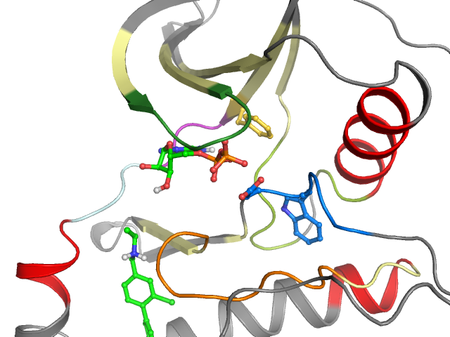 The orthosteric binding pocket