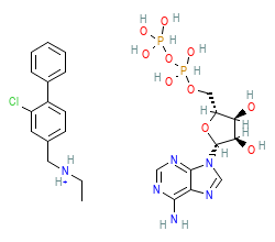 2D structure of the orthosteric ligand