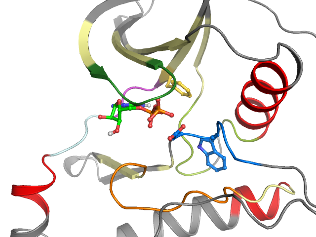 The orthosteric binding pocket