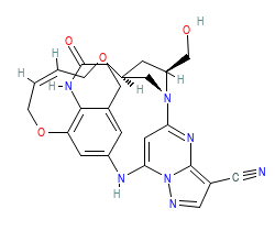 2D structure of the orthosteric ligand