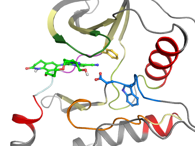 The orthosteric binding pocket