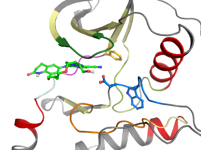 The orthosteric binding pocket