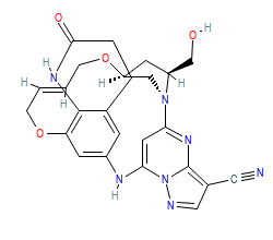2D structure of the orthosteric ligand
