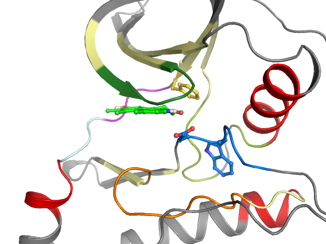 The orthosteric binding pocket