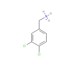 2D structure of the orthosteric ligand