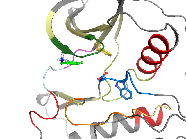 The orthosteric binding pocket