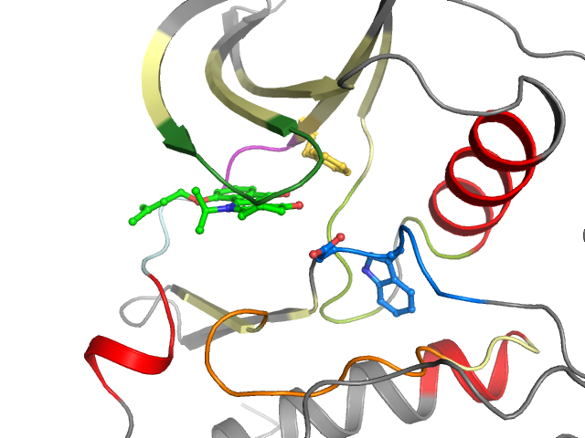 The orthosteric binding pocket