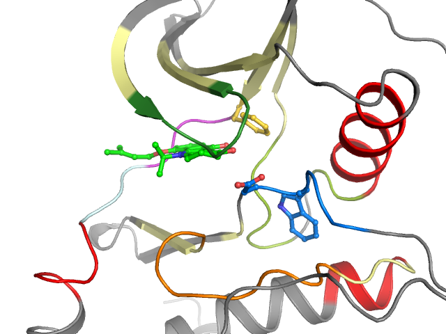 The orthosteric binding pocket