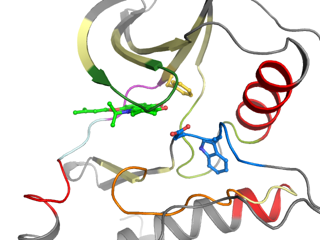 The orthosteric binding pocket