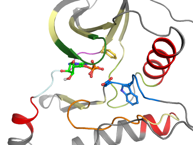 The orthosteric binding pocket