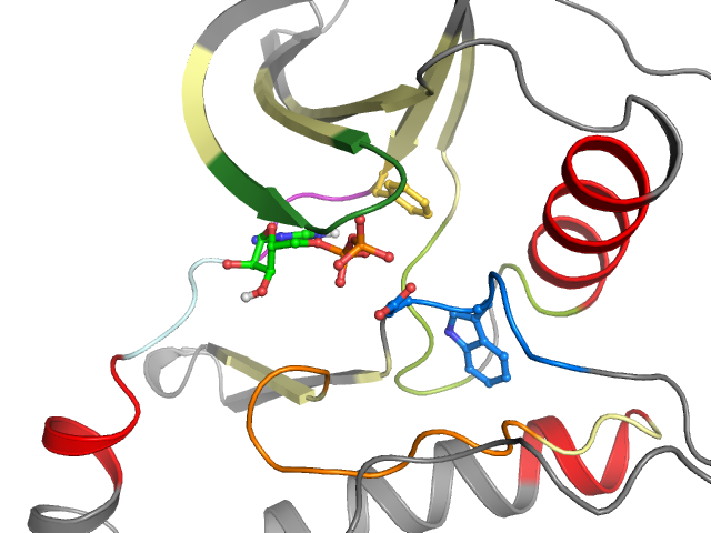 The orthosteric binding pocket