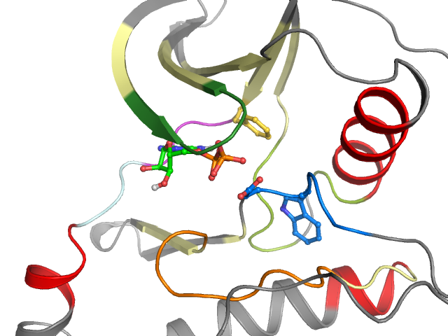 The orthosteric binding pocket