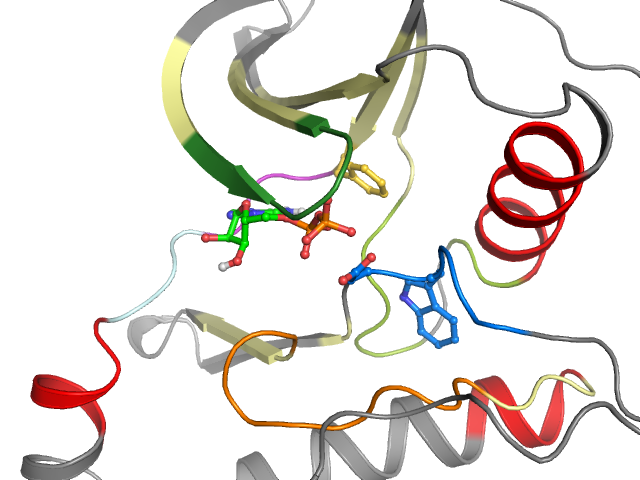 The orthosteric binding pocket