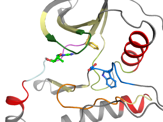 The orthosteric binding pocket