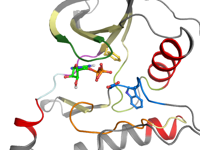 The orthosteric binding pocket
