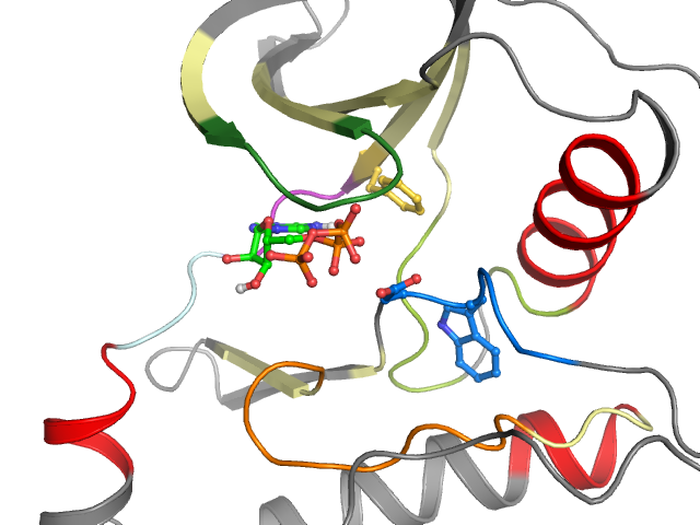 The orthosteric binding pocket