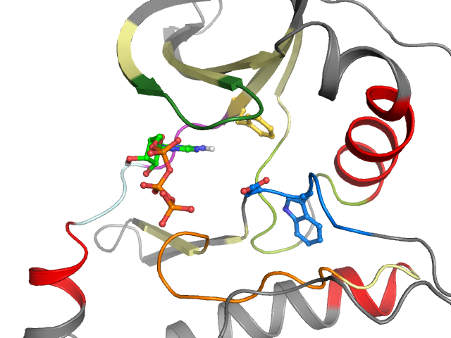 The orthosteric binding pocket