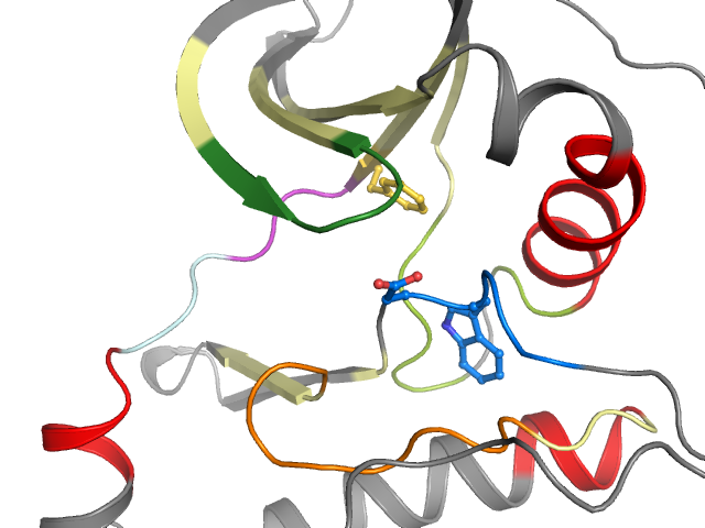 The orthosteric binding pocket