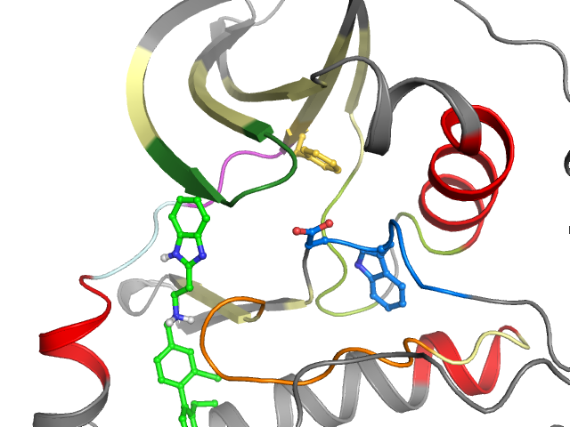 The orthosteric binding pocket