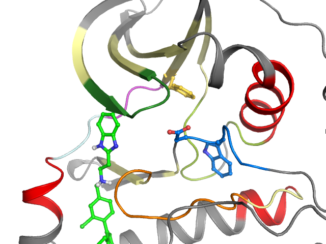 The orthosteric binding pocket