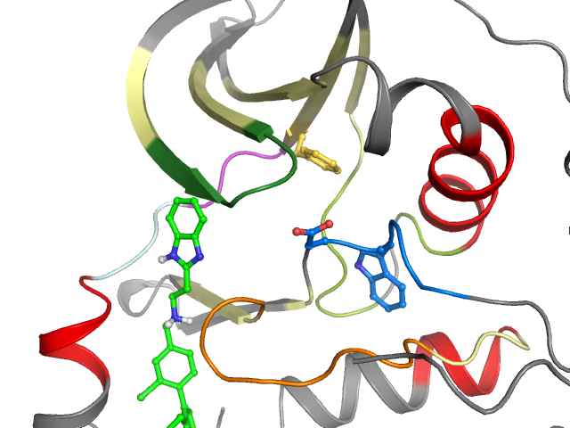 The orthosteric binding pocket