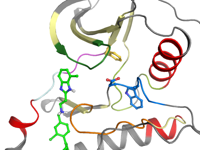 The orthosteric binding pocket