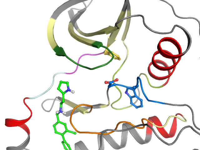 The orthosteric binding pocket