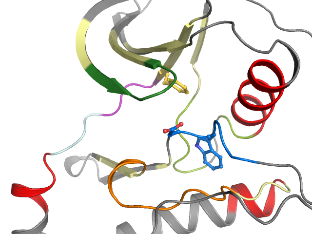 The orthosteric binding pocket