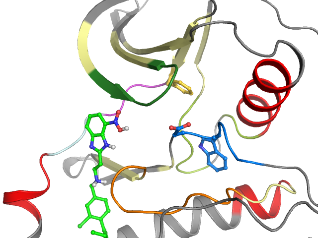 The orthosteric binding pocket