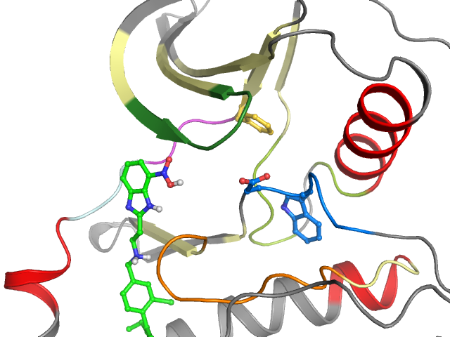 The orthosteric binding pocket