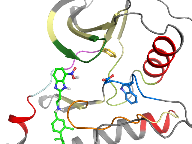 The orthosteric binding pocket