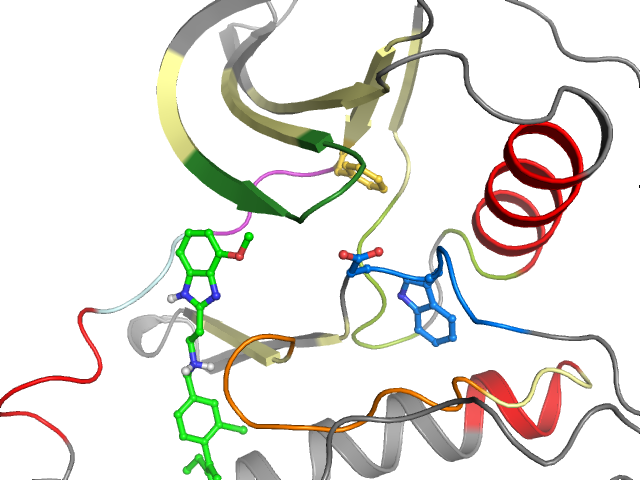 The orthosteric binding pocket
