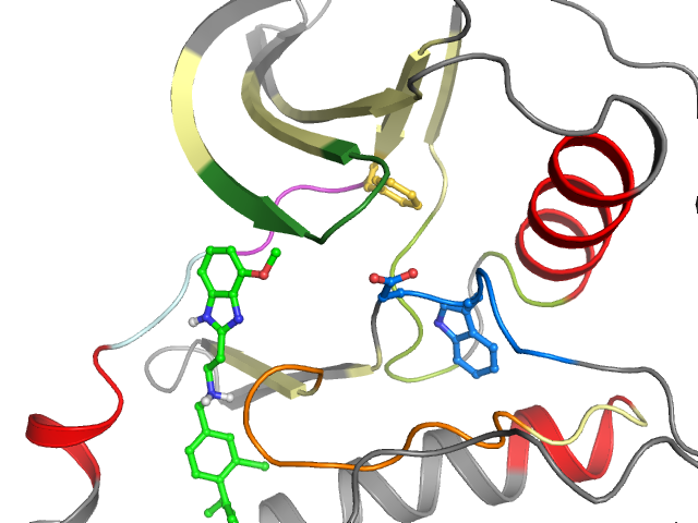 The orthosteric binding pocket