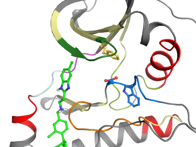 The orthosteric binding pocket