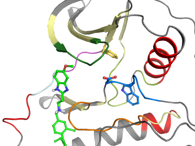 The orthosteric binding pocket
