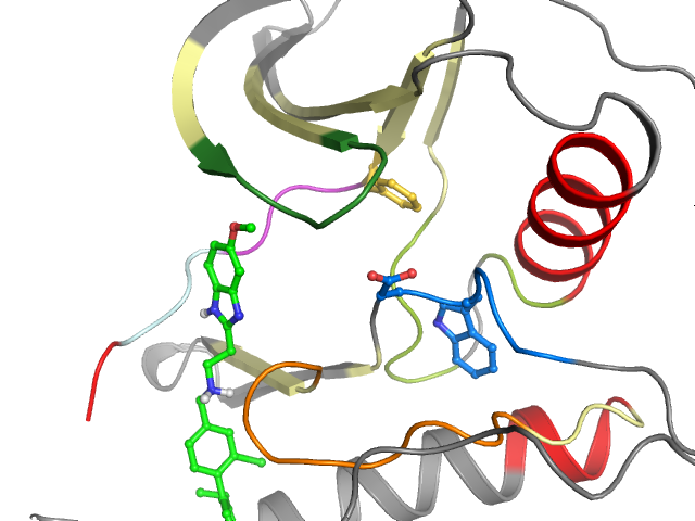 The orthosteric binding pocket