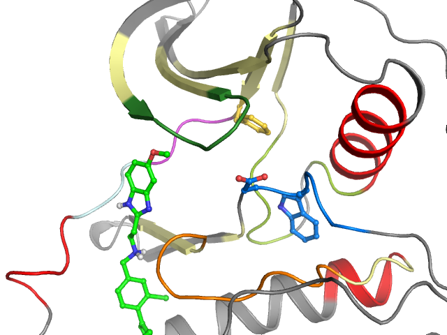 The orthosteric binding pocket