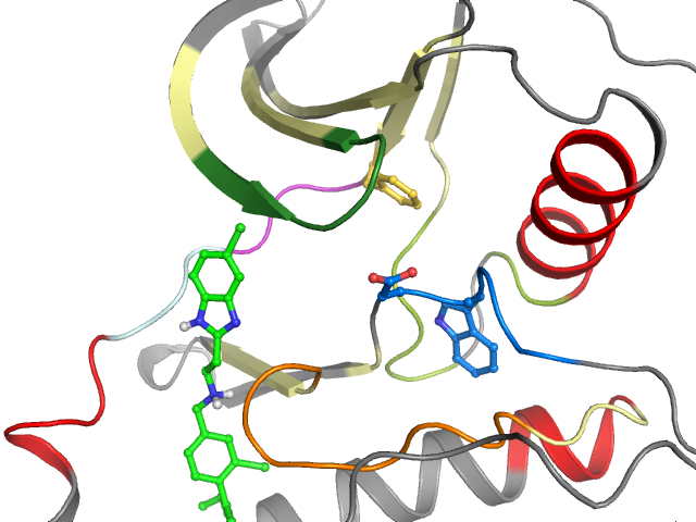 The orthosteric binding pocket