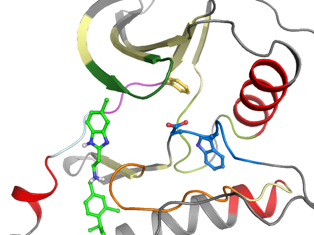 The orthosteric binding pocket