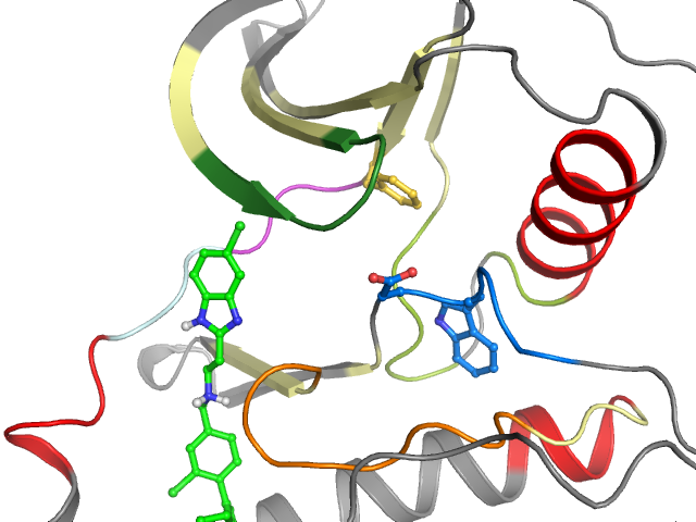 The orthosteric binding pocket