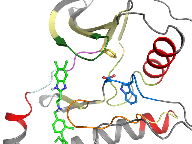 The orthosteric binding pocket